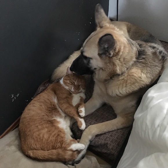 Meet your Posher, Kristen - Picture 5 of 6